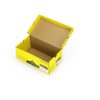 Colored Flip-Top Shoebox