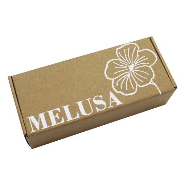 Color Printed Kraft Paper Corrugated Mailer Box