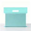 产品图白底处理 (1) Colored Frosted Clear CPE Mailer Bag with Handle(100 PCS)
