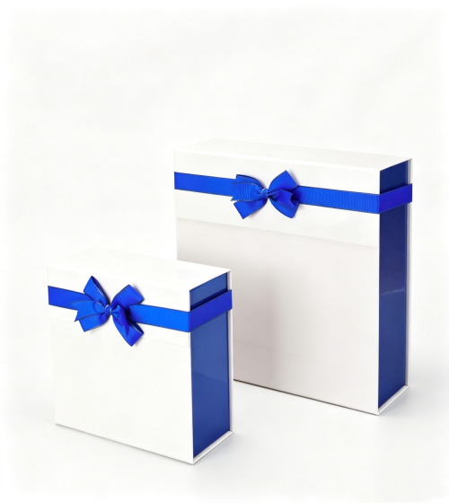 包装盒名称 (49) two-tone blue white pearlescent gift box