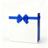 包装盒名称 (53) two-tone blue white pearlescent gift box