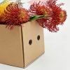 图片处理需求 (16) Small Rectangular Printed Flower Shipping Box