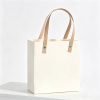 生成白底图片 (15) Luxury Gift Shopping Bag