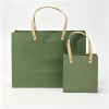 生成白底图片 (22) Luxury Gift Shopping Bag