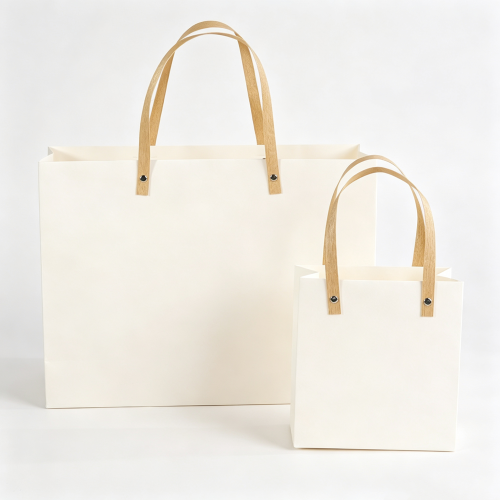 生成白底图片 (25) Luxury Gift Shopping Bag