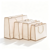 电商白底产品图处理 (13) minimalist-style portable shopping bag